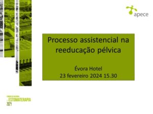 Workshop – Processo Assistencial na Reeducação Pélvica